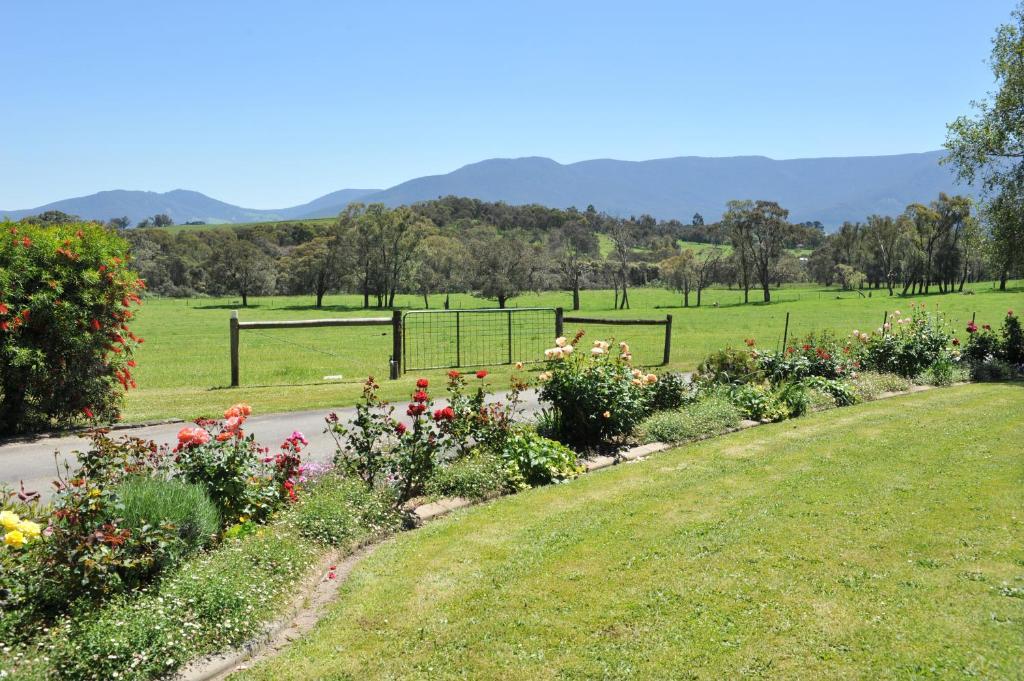 Langbrook Cottages Yarra Junction Dış mekan fotoğraf